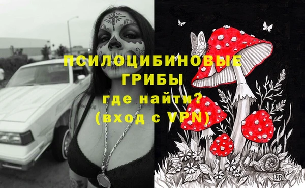 ешки Балахна
