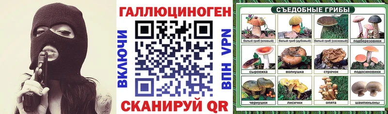 Купить  Сызрань  Галлюциногенные грибы Psilocybe 